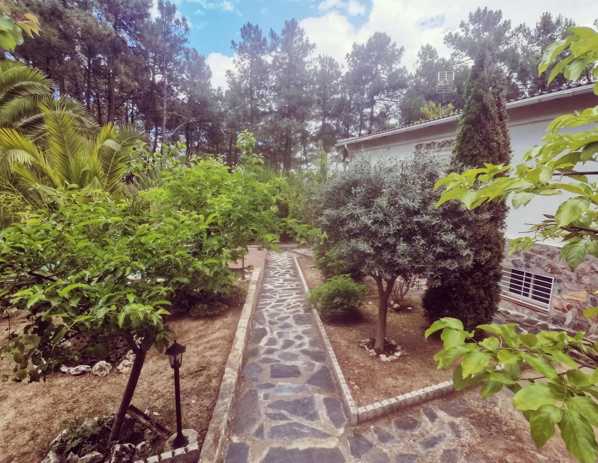 Bonita Casa En El Bosque - El Tiemblo