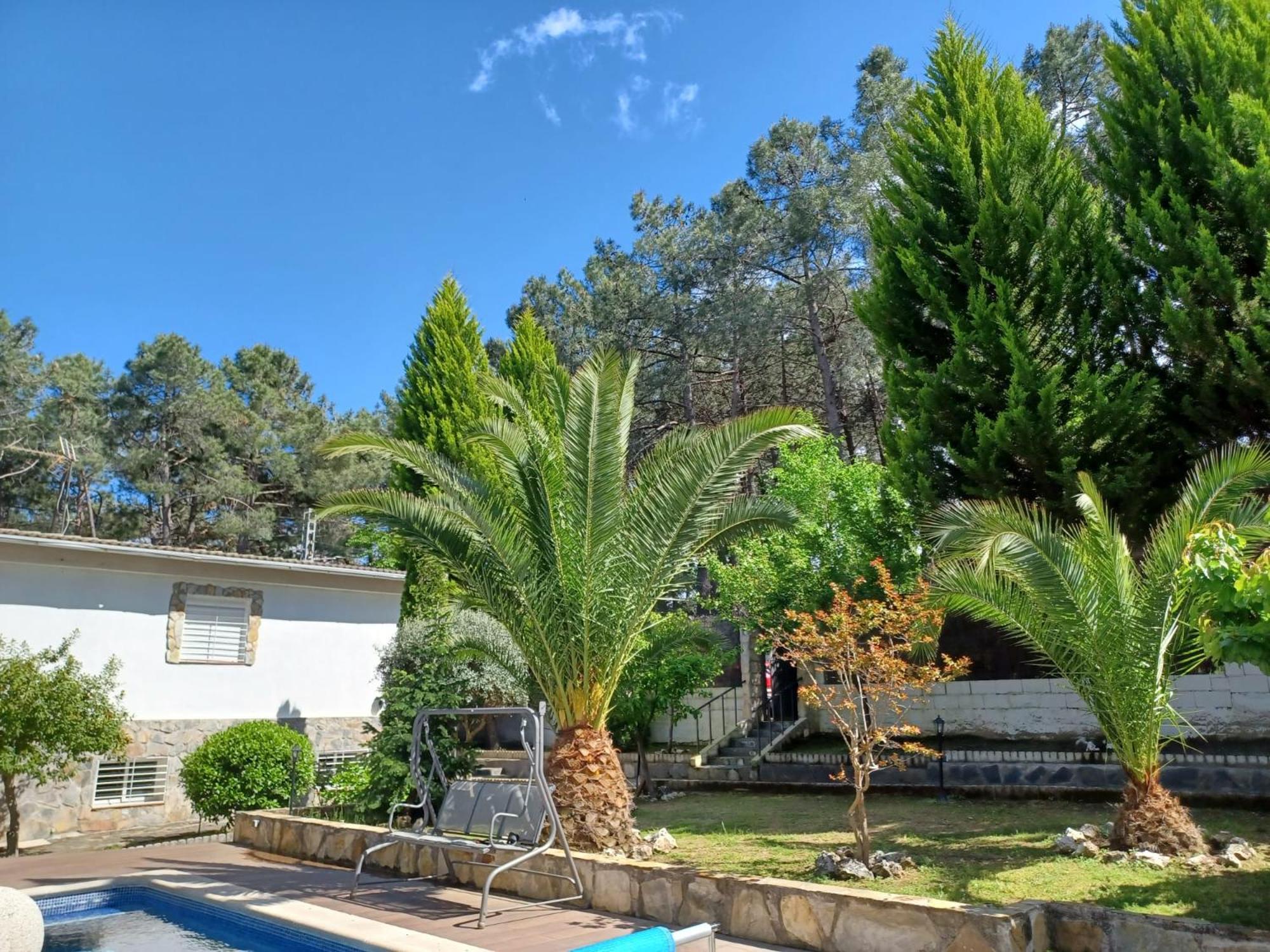 Bonita Casa En El Bosque - *
